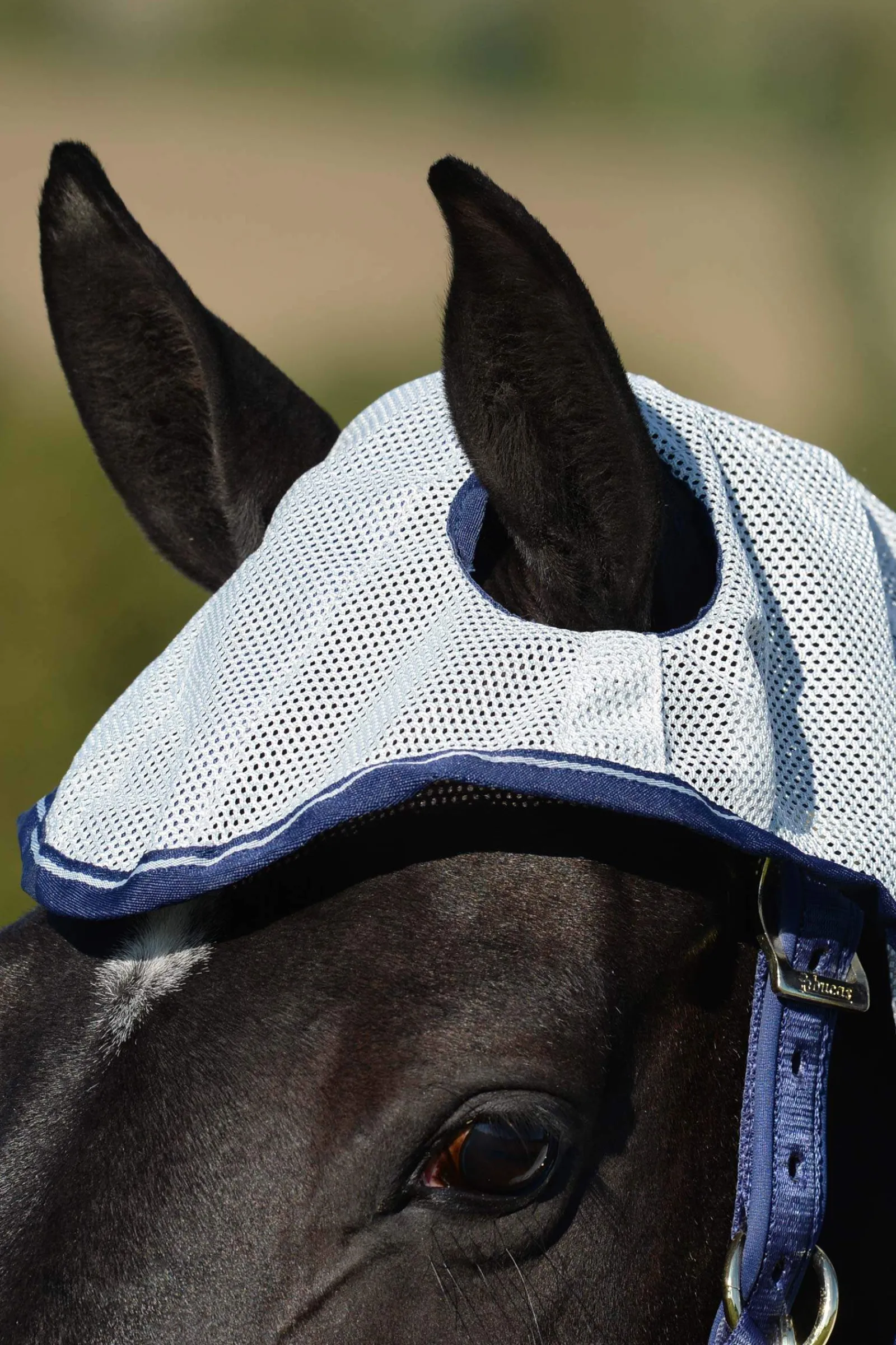 Fashion Buzz-Off X-light Full Neck Fly Rug With Fixed Neck Fly Rugs|Fly Rugs
