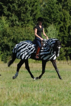 Hot Buzz-Off Zebra Fly- and Riding Rug Fly Rugs|Fly Rugs