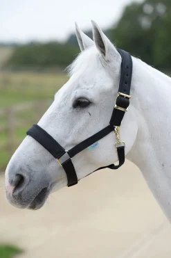 Fashion Comfort Halter Headcollars & Halters