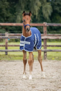 Fashion Foal Turnout Rug, 50g Lightweight Turnout Rugs