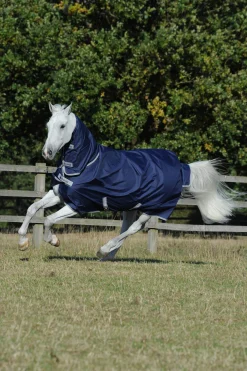 Clearance Freedom Light Turnout Rug with fixed Full Neck, 0g Lightweight Turnout Rugs