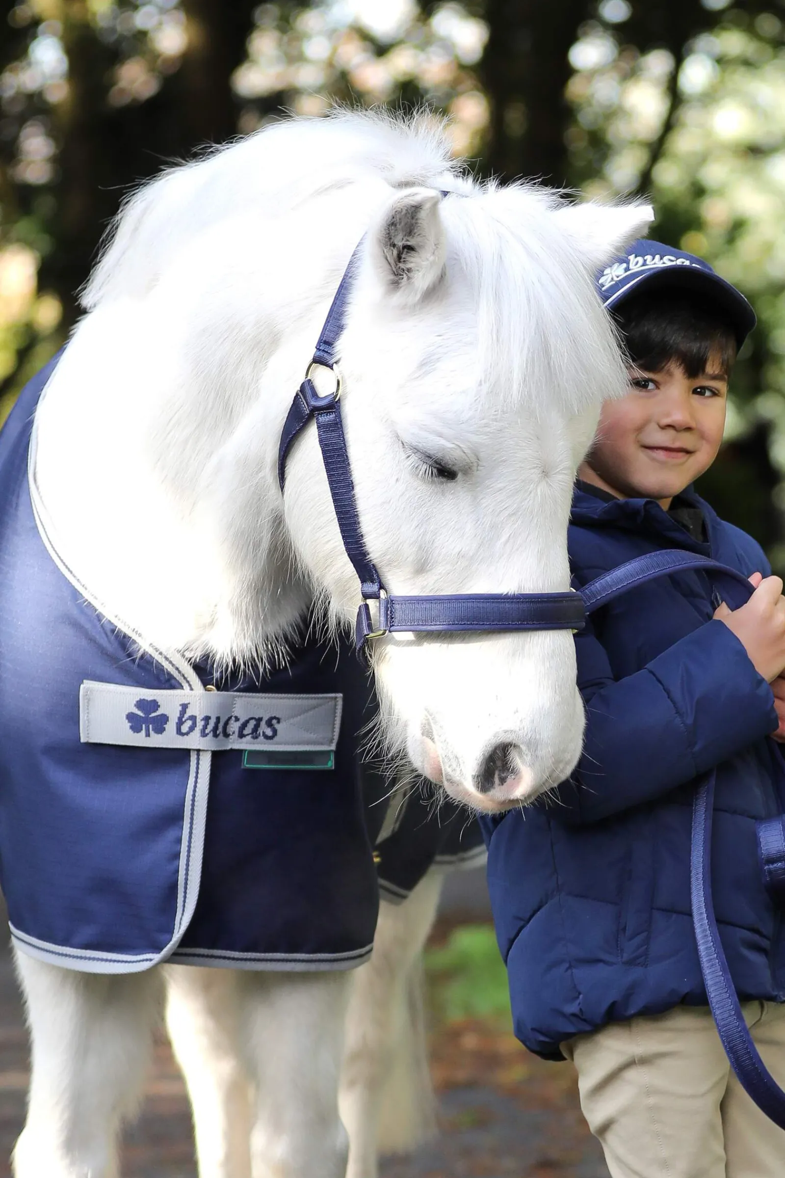 Fashion Freedom Pony Turnout Rug, 150g Pony Rugs|Pony Rugs