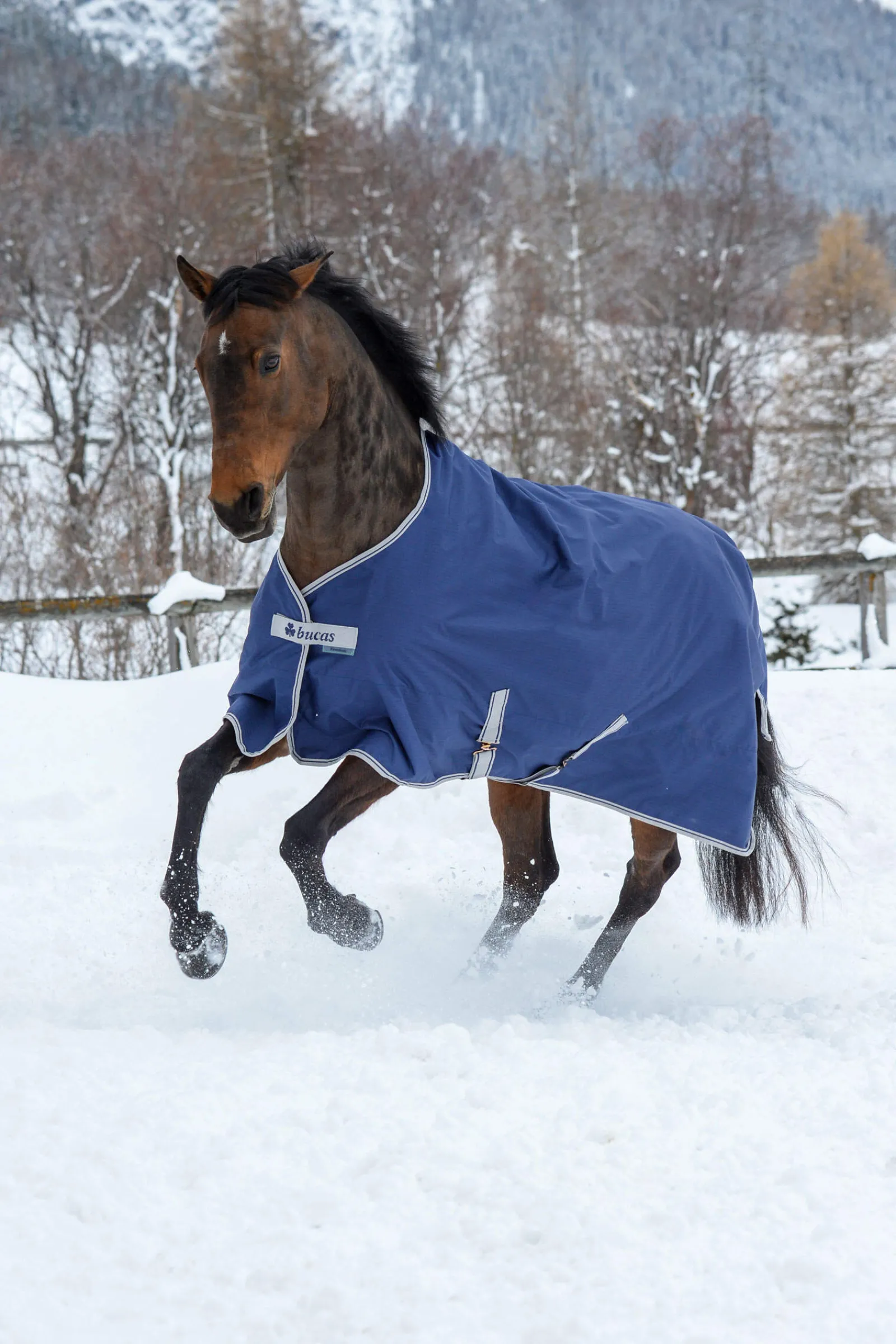 New Freedom Turnout Rug, 150g Medium & Heavyweight Turnout Rugs
