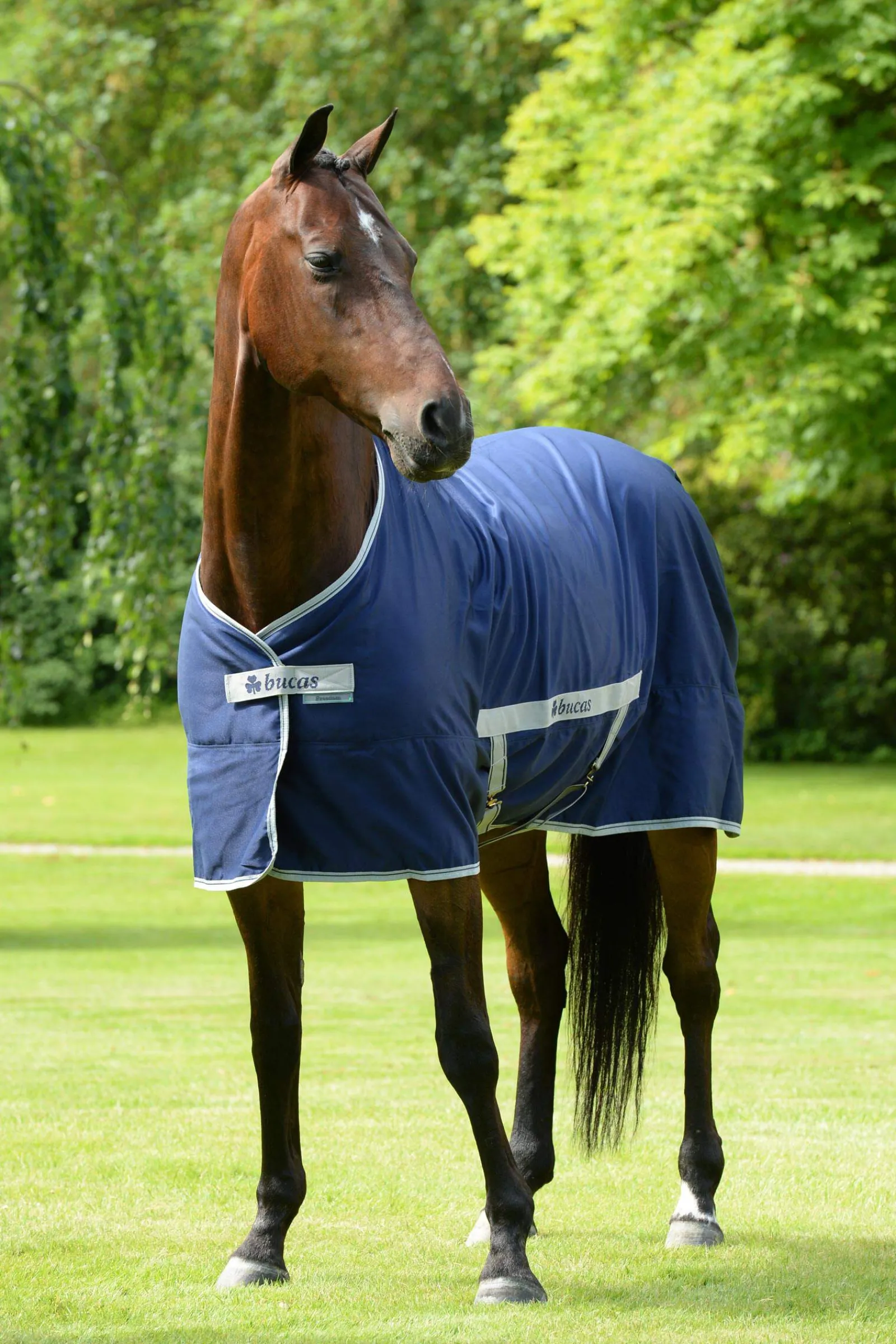 Sale Freedom Twill Stable Rug, 0 g Stable Rugs & Liners|Lightweight Turnout Rugs