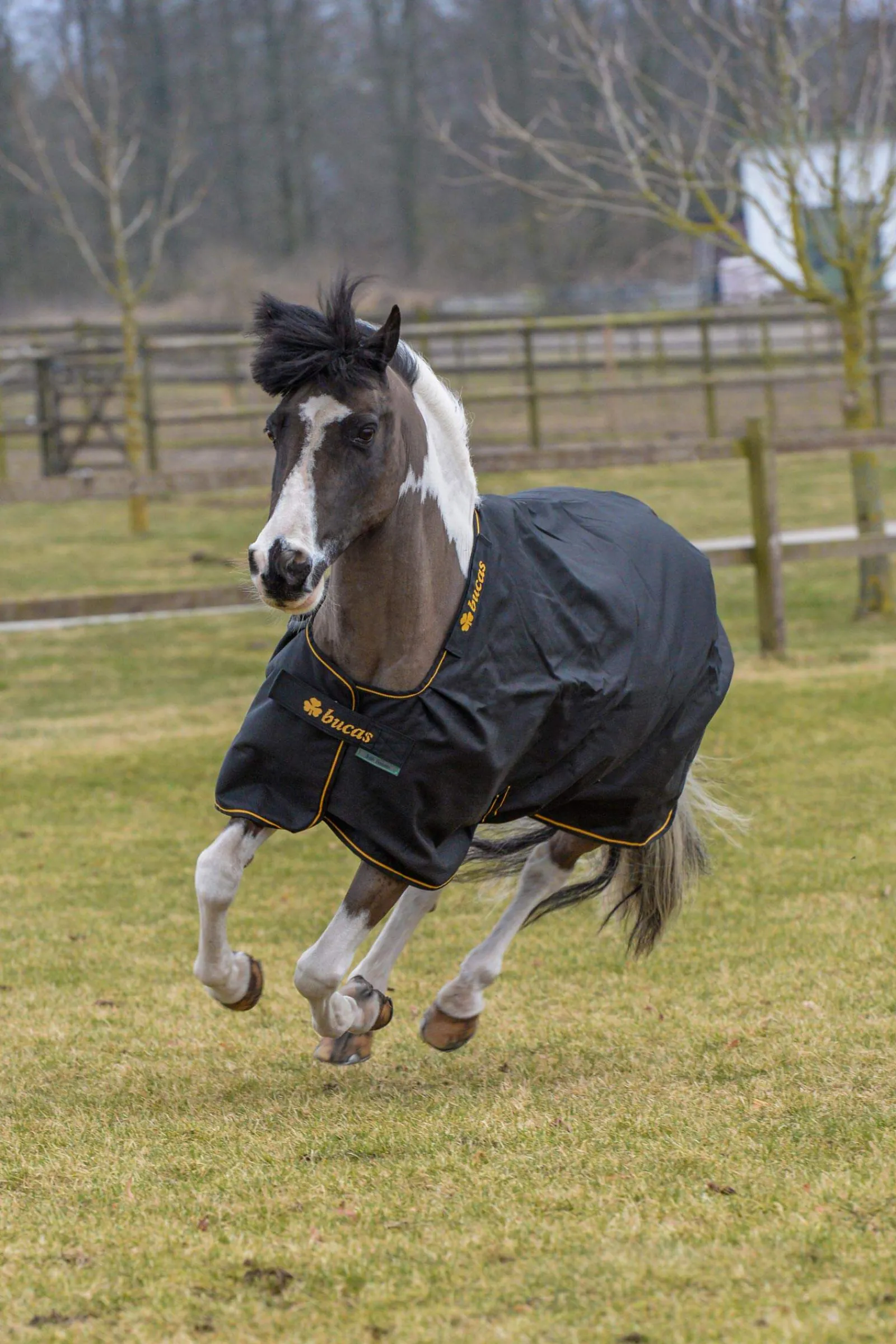 Outlet Irish Pony Turnout Rug, 50g Pony Rugs|Pony Rugs