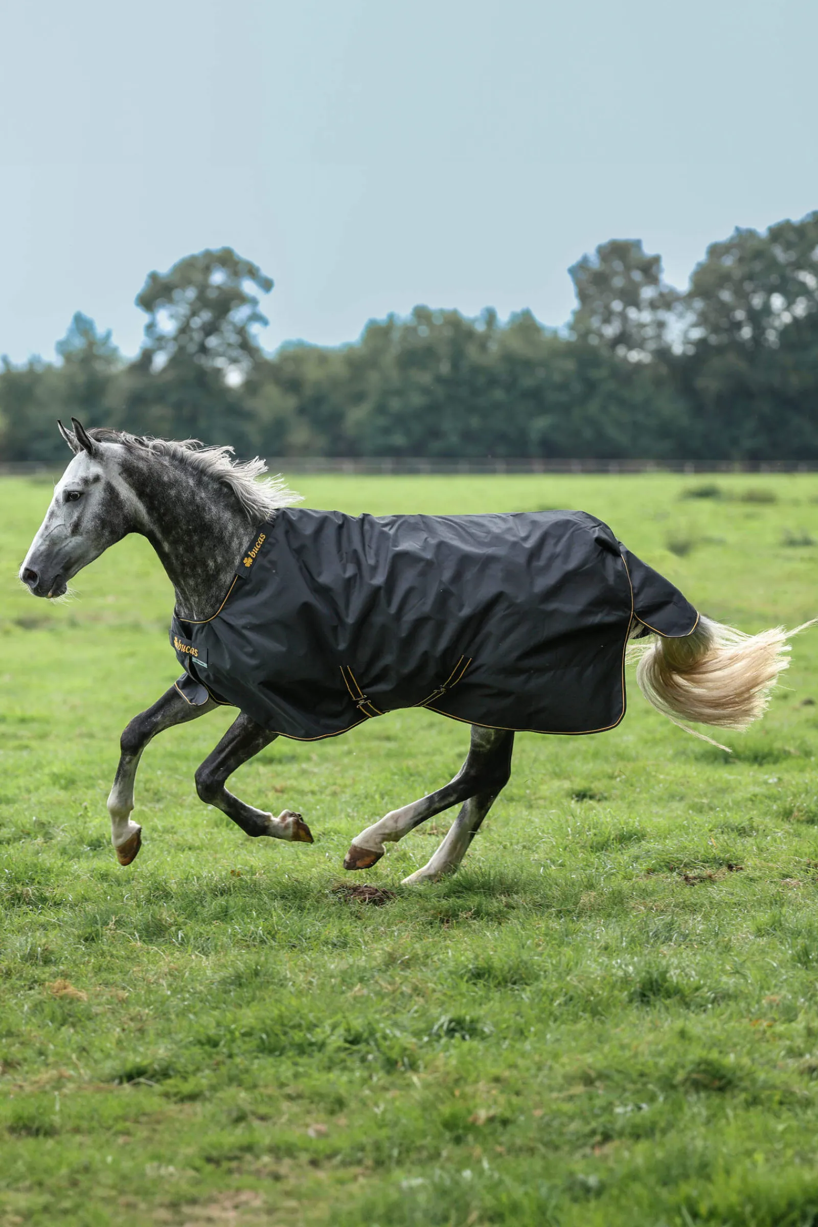 Online Irish Turnout Rug, 50g Lightweight Turnout Rugs