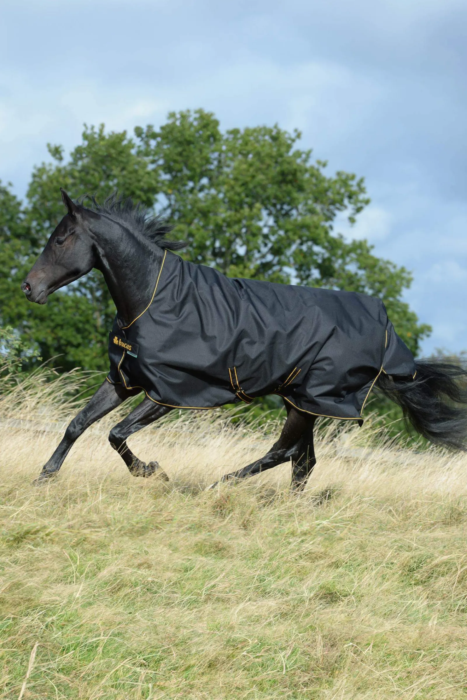 Hot Irish Turnout Rug with High Neck, 50g Lightweight Turnout Rugs