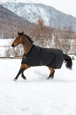 Best Irish Turnout Rug with High Neck, 300g Medium & Heavyweight Turnout Rugs
