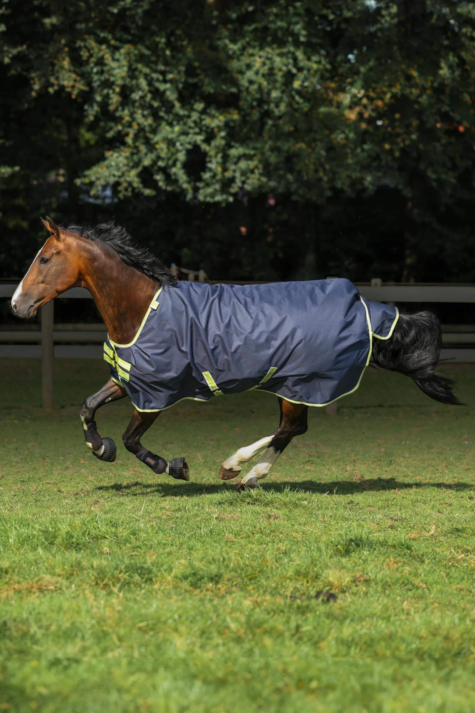 Best Oasis Turnout + Neck Set, 100g Lightweight Turnout Rugs