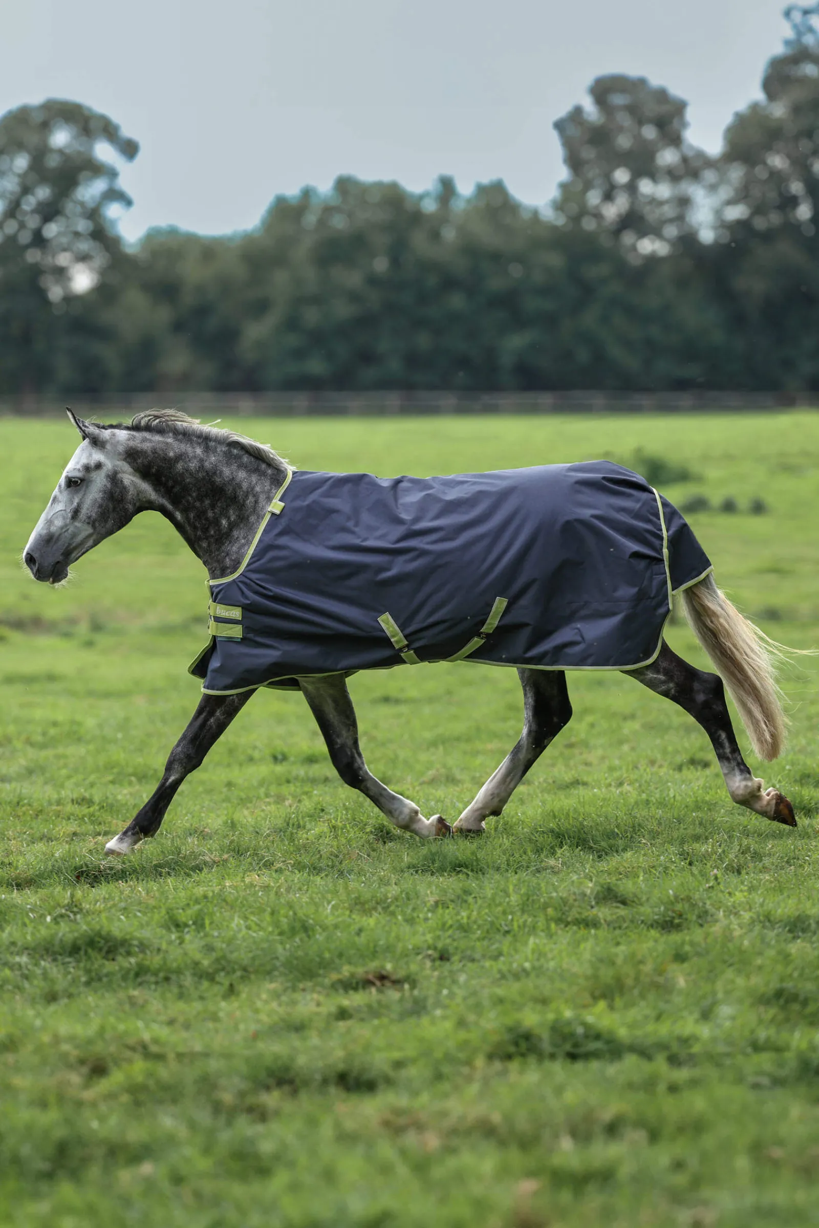Best Oasis Turnout + Neck Set, 100g Lightweight Turnout Rugs