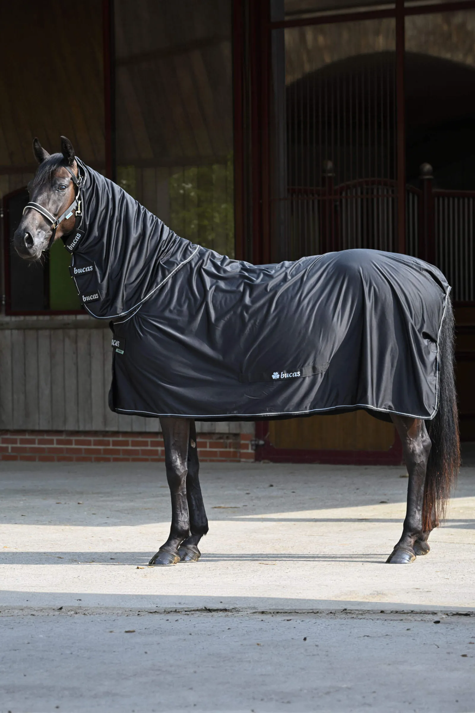 Online Power Cooler + Neck Set Fleece Horse Rugs & Cooler Rugs