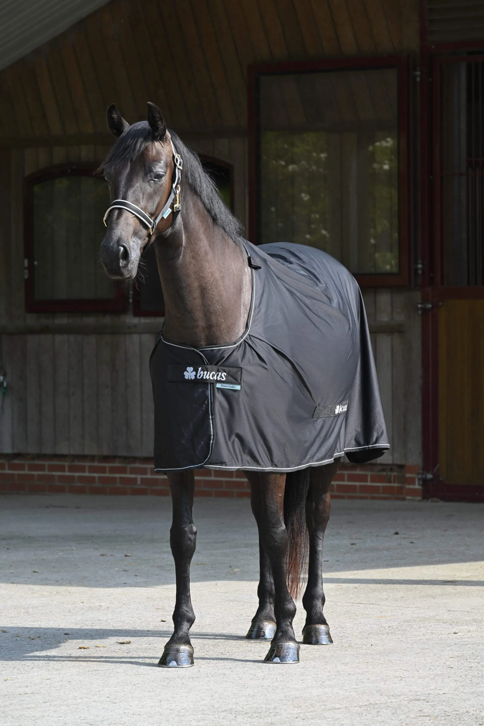Online Power Cooler + Neck Set Fleece Horse Rugs & Cooler Rugs