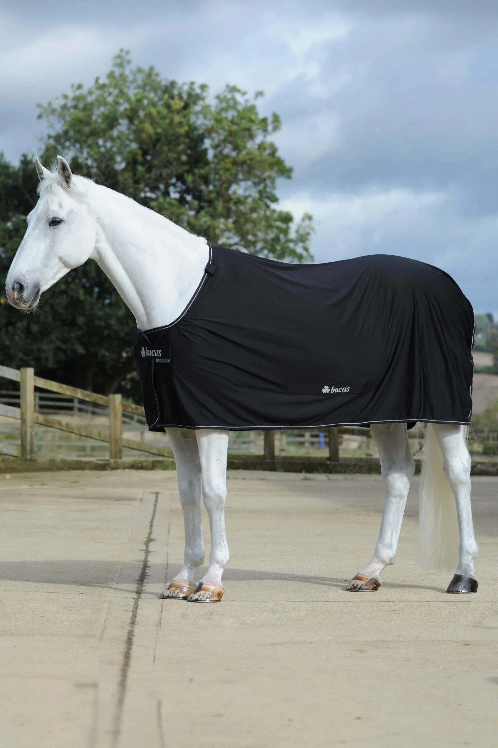 Online Power Cooler + Neck Set Fleece Horse Rugs & Cooler Rugs