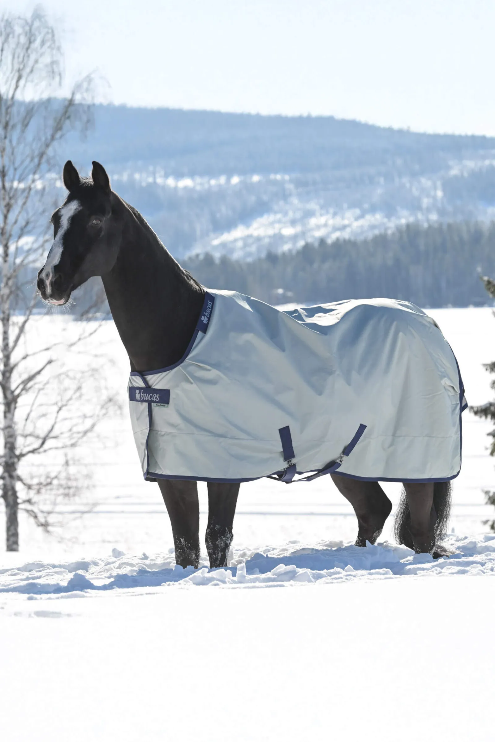 New Power Extra Turnout Rug With Cooling Function, 300g Medium & Heavyweight Turnout Rugs