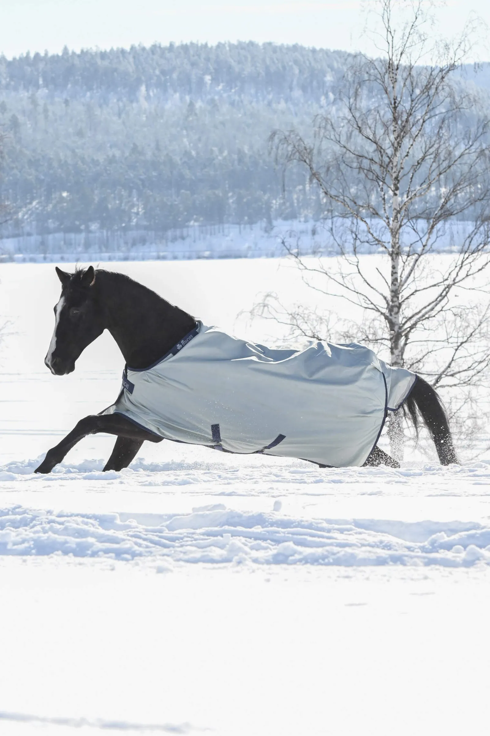 New Power Extra Turnout Rug With Cooling Function, 300g Medium & Heavyweight Turnout Rugs