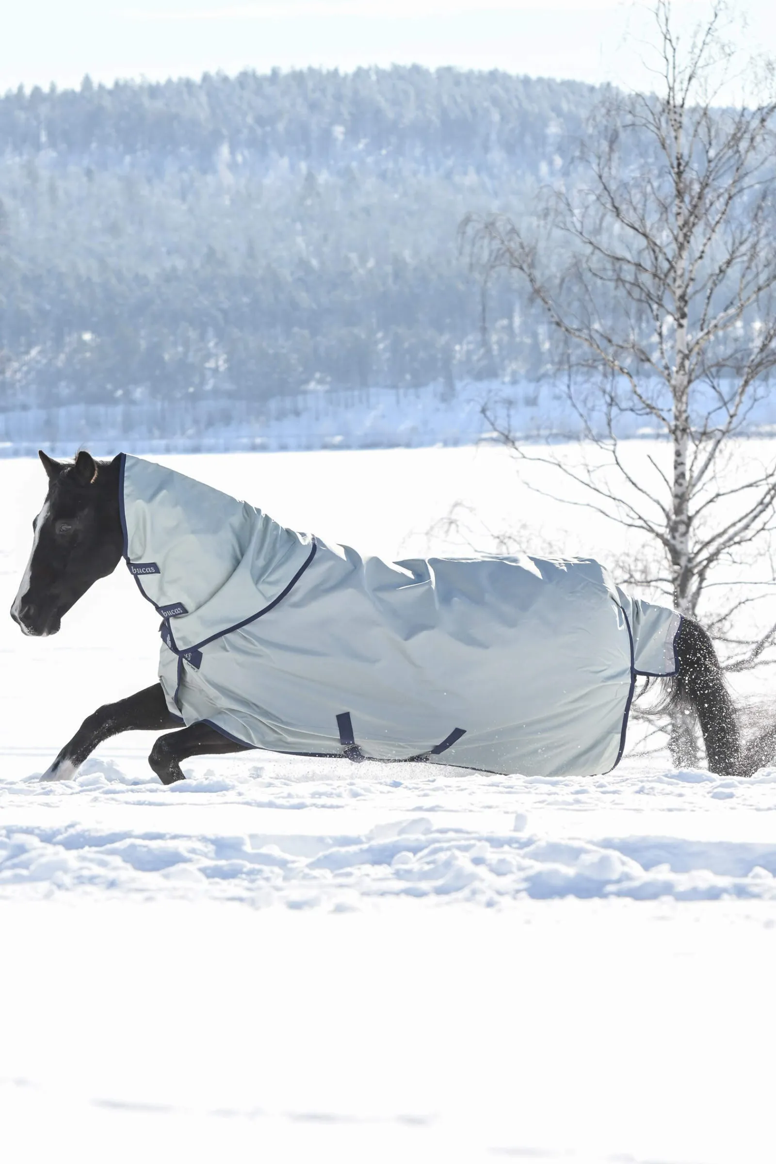 New Power Extra Turnout Rug With Cooling Function, 300g Medium & Heavyweight Turnout Rugs
