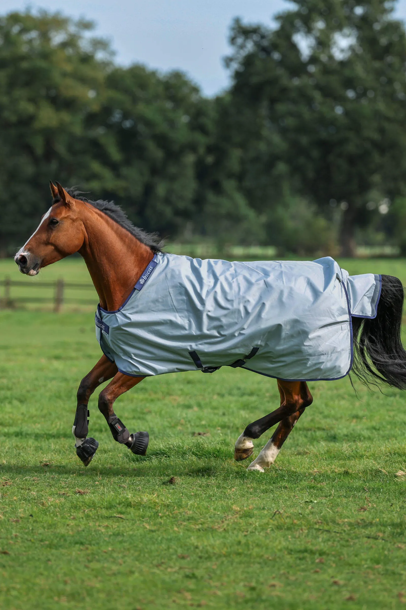 Sale Power Turnout Light, 0g Lightweight Turnout Rugs