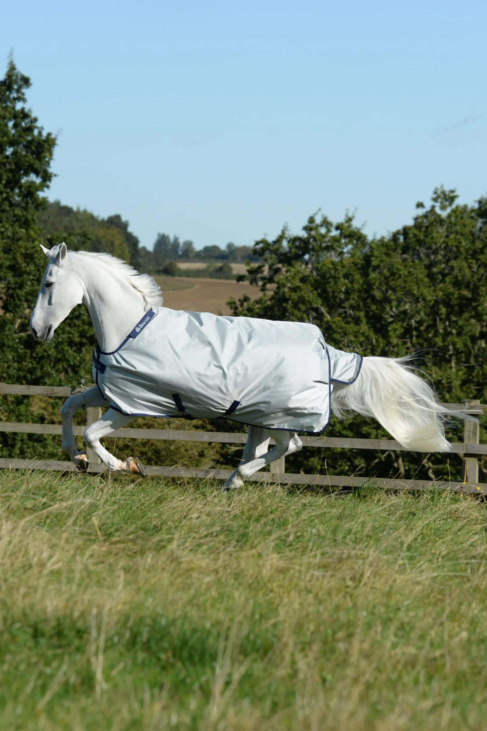 Sale Power Turnout Light, 0g Lightweight Turnout Rugs