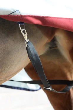 Best Power Turnout Light with High Neck, 0 g Lightweight Turnout Rugs