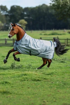 Best Power Turnout Light with High Neck, 0 g Lightweight Turnout Rugs
