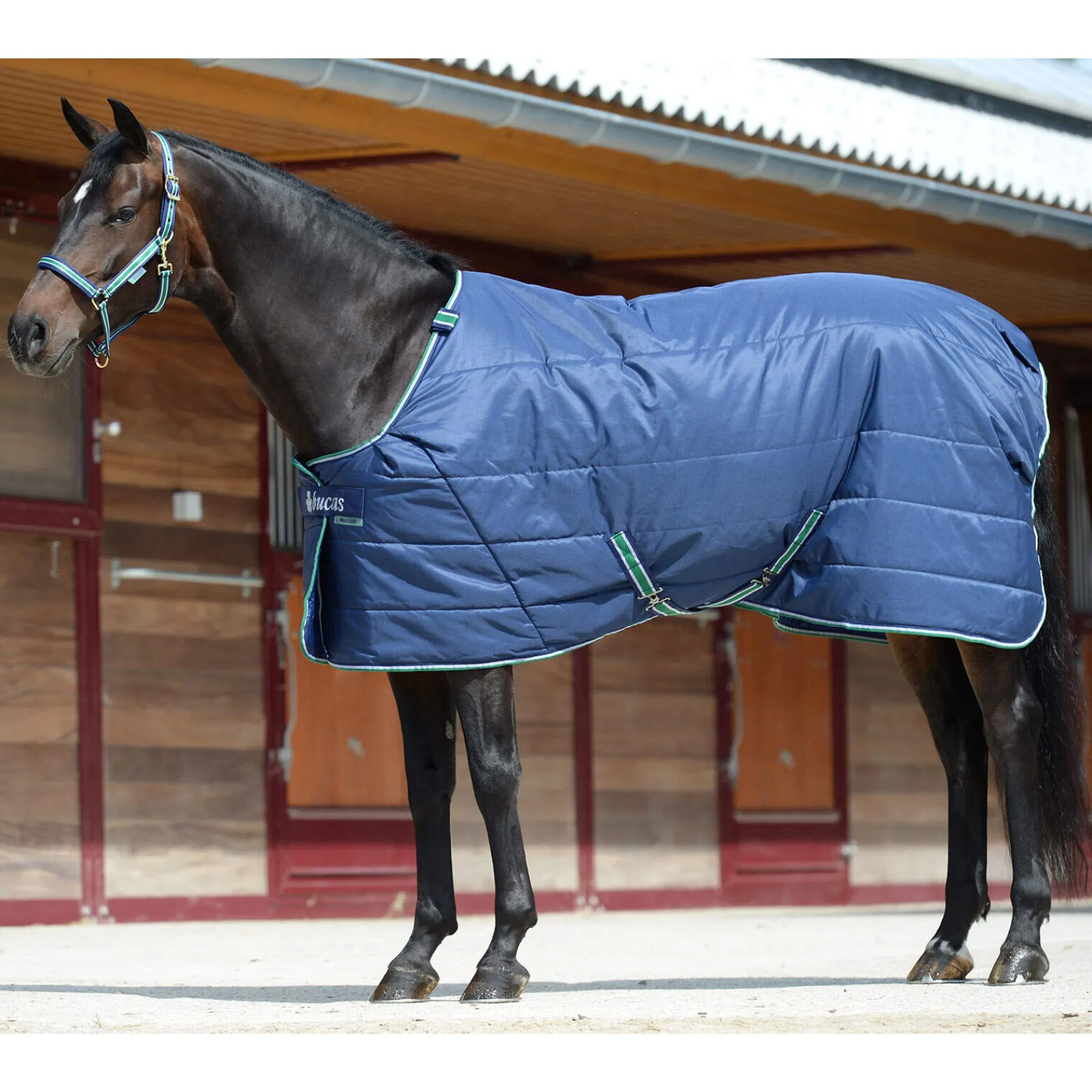 New Quilt SF Under Rug, 300g Stable Rugs & Liners