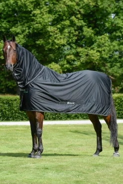 Best Shamrock Power Rug with Full Neck Fleece Horse Rugs & Cooler Rugs