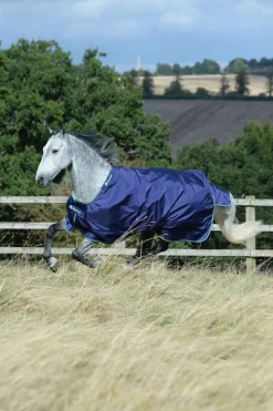 Fashion Smartex Medium Turnout Rug, 150g Medium & Heavyweight Turnout Rugs