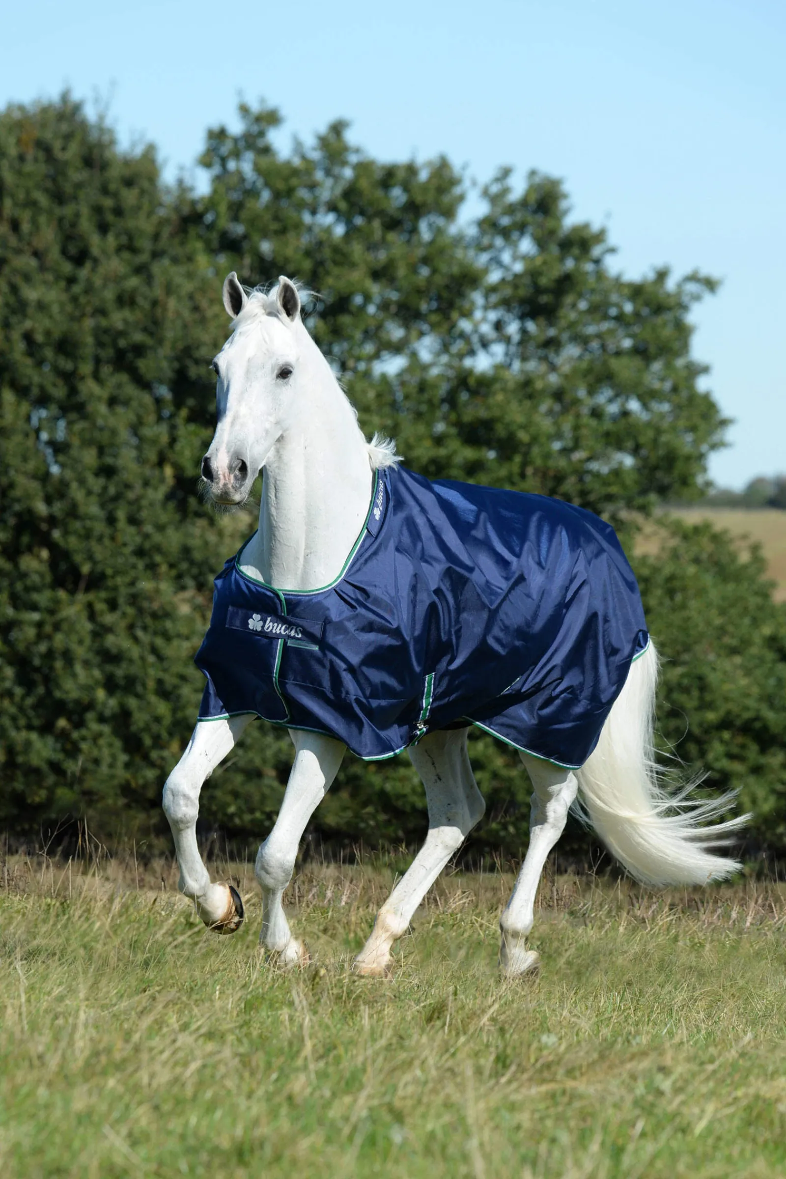 Hot Smartex Rain Turnout Rug with Big Neck, 0g Lightweight Turnout Rugs