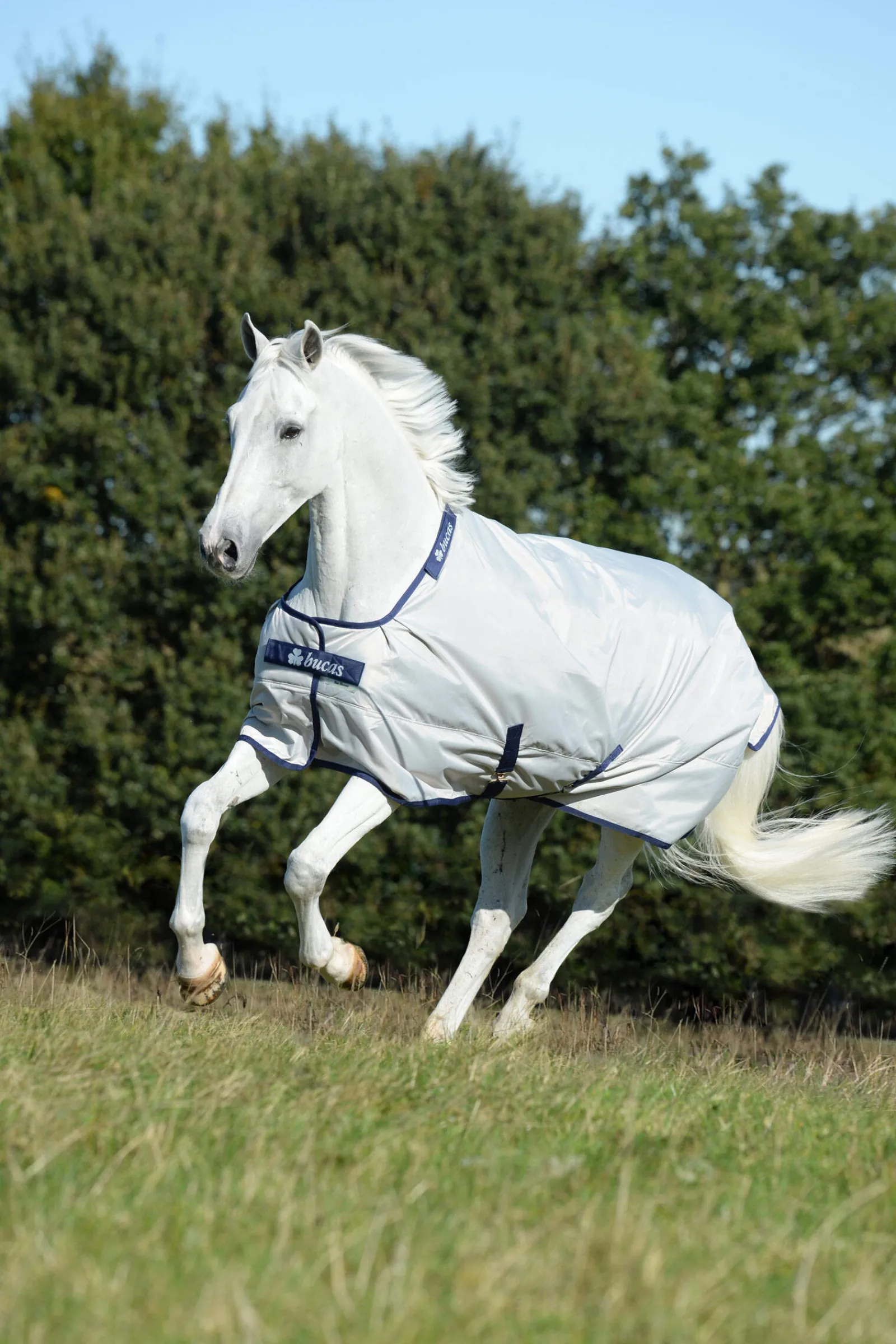 New Sun Shower Turnout Rug, 0g Lightweight Turnout Rugs