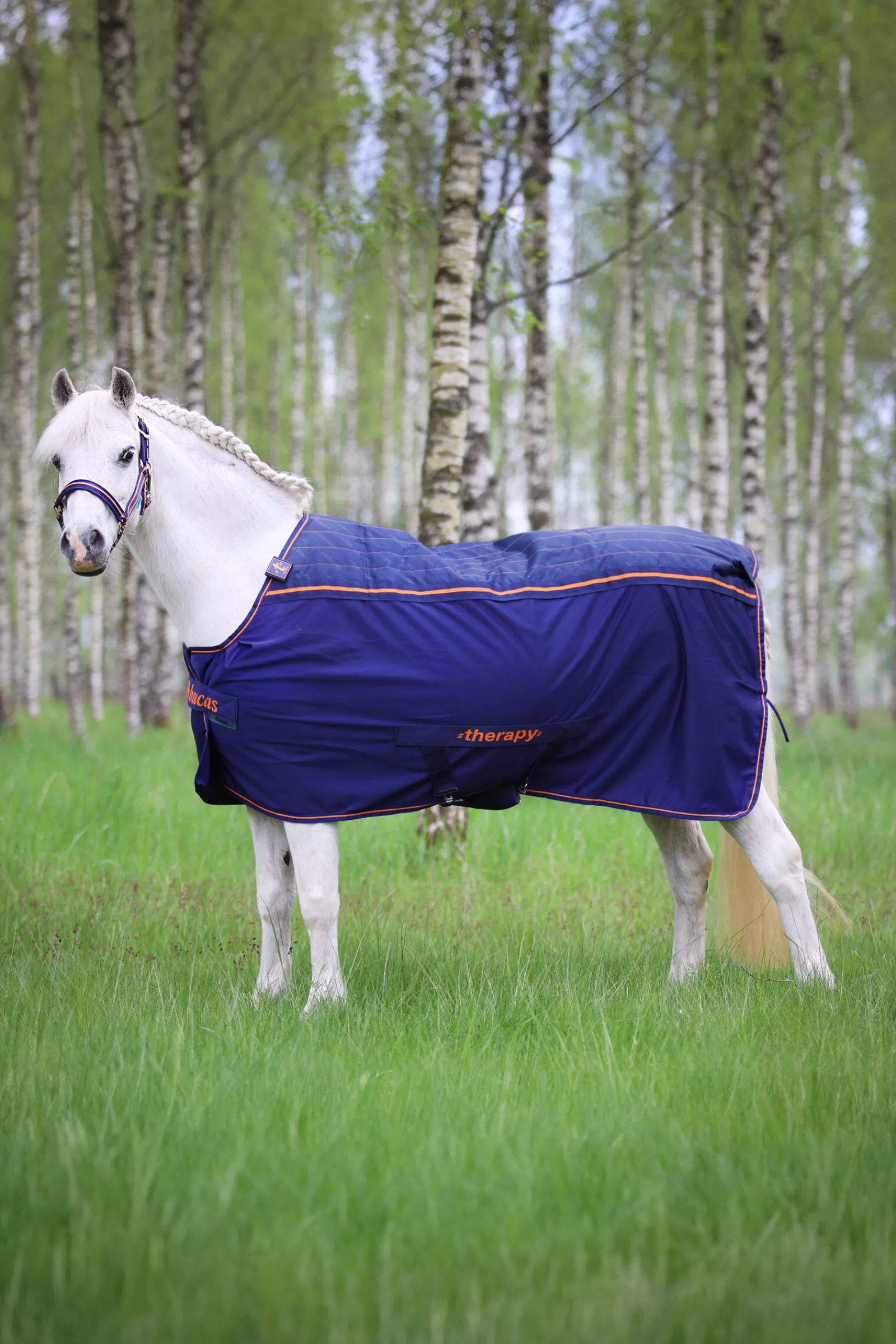 Sale Therapy Pony Cooler Rug, 0 g Therapy Rugs