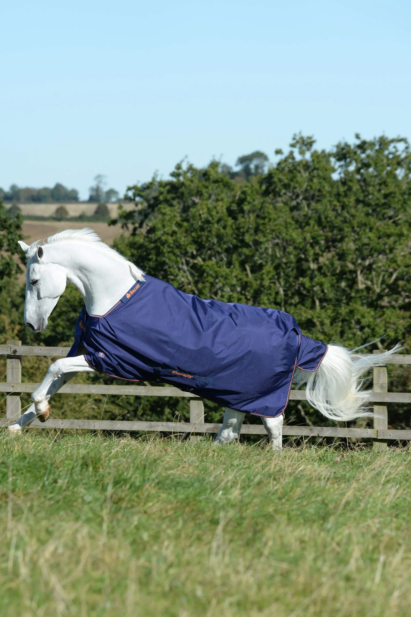 Clearance Therapy Turnout Rug Light, 50g Therapy Rugs