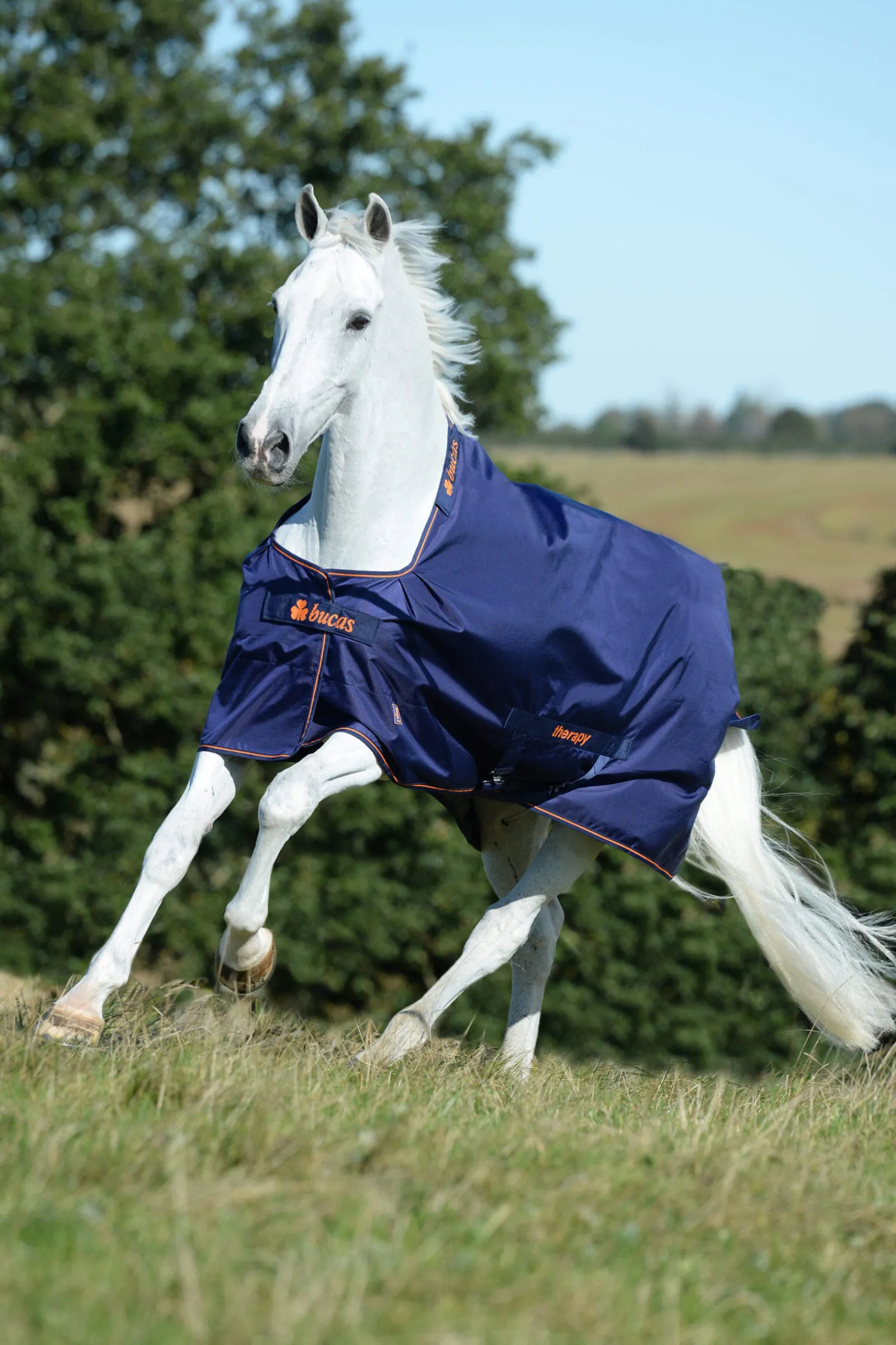 Clearance Therapy Turnout Rug Light, 50g Therapy Rugs