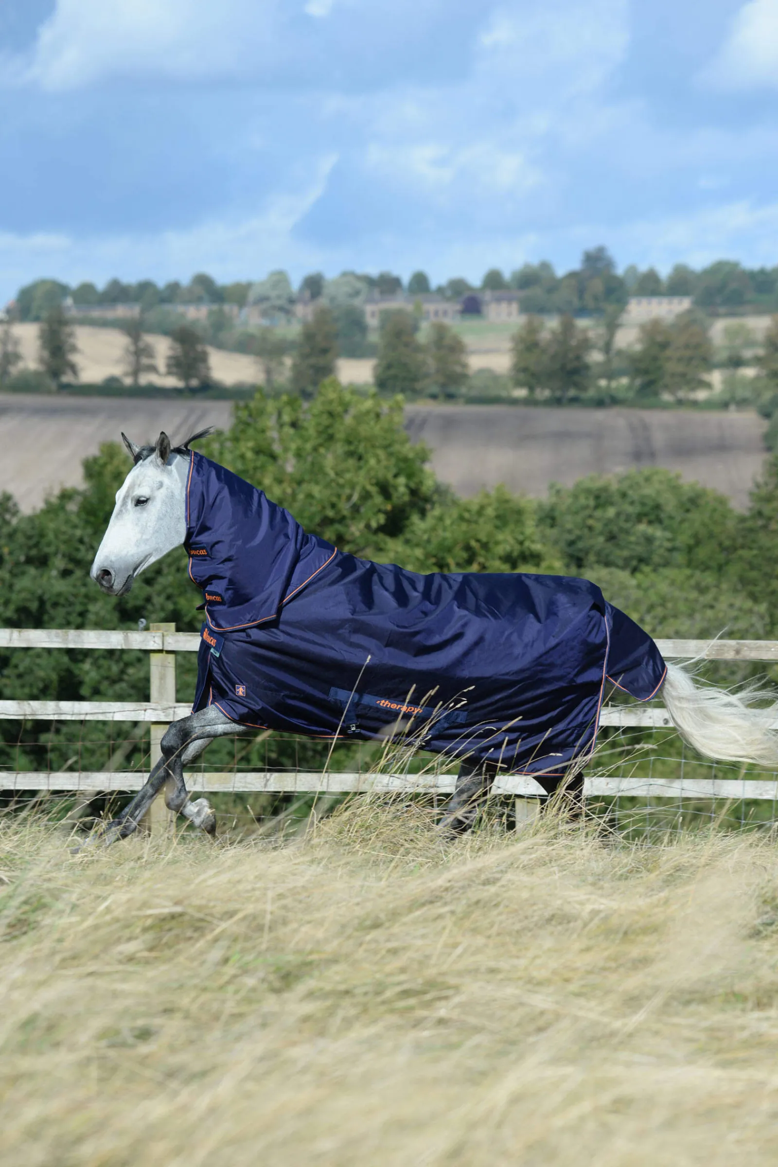 Clearance Therapy Turnout Rug Light, 50g Therapy Rugs