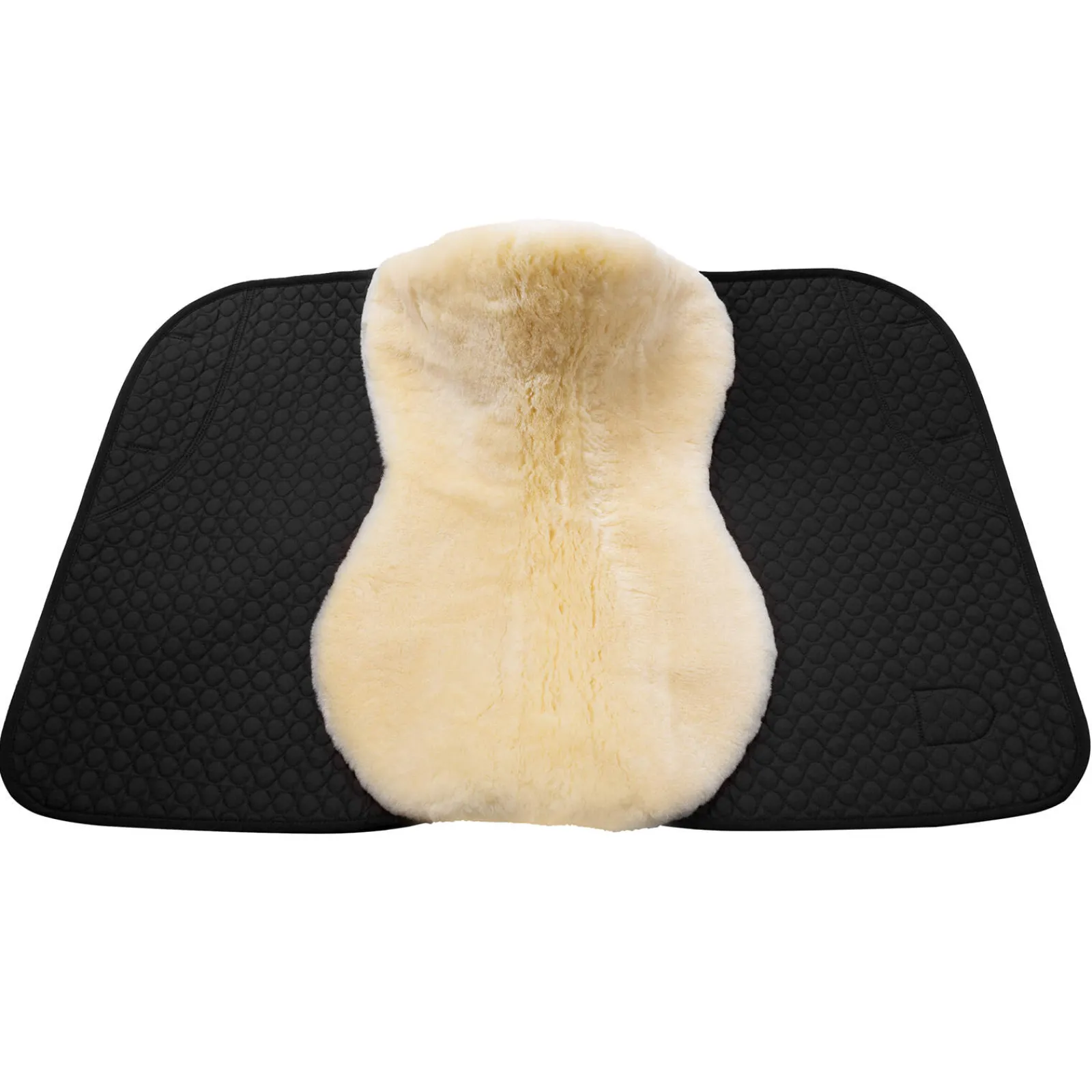 Best Square saddle pads Champ D Dressage Saddle Pads
