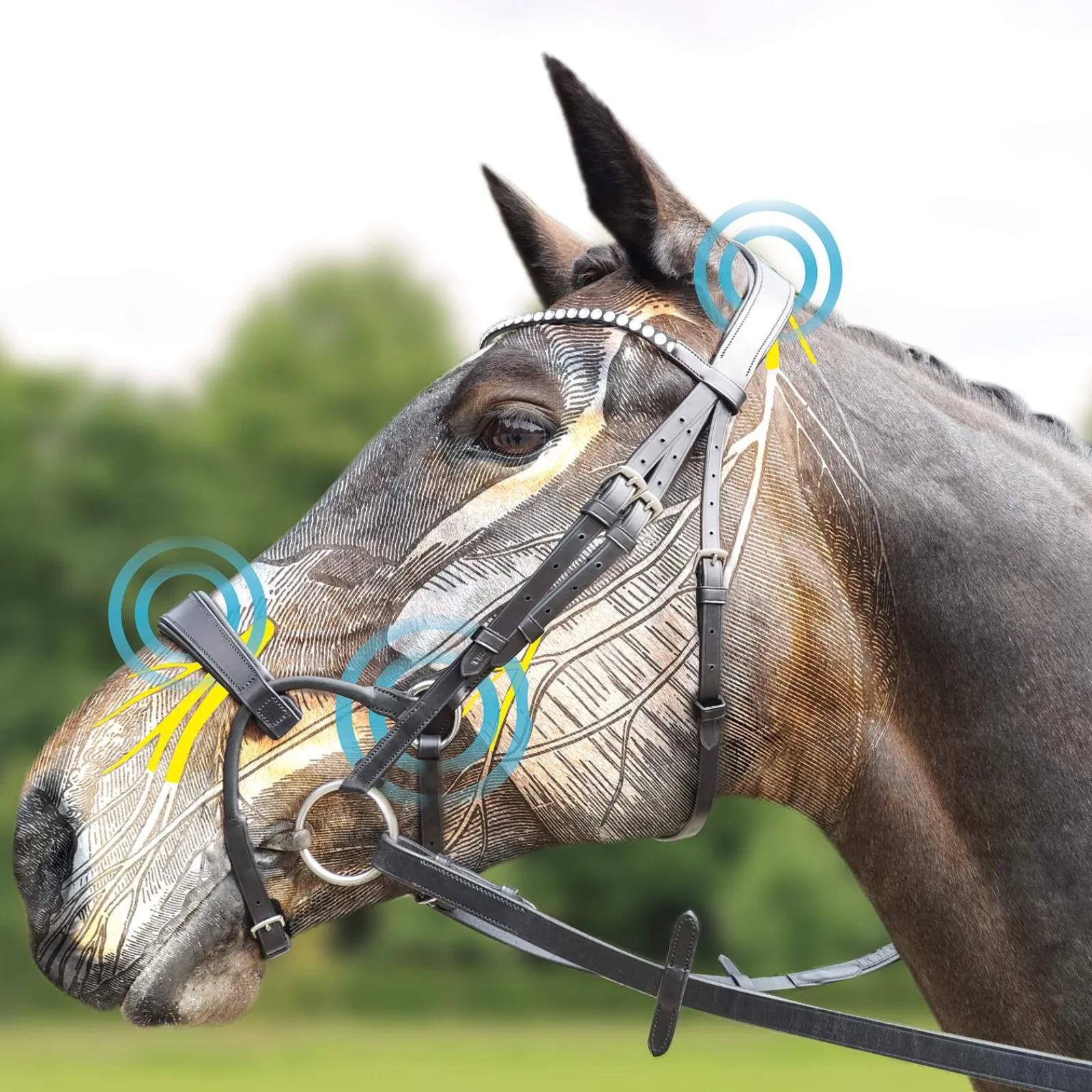 Best ComFiTec Crystal Bridle Pony Bridles & Halters|Bridles & Nosebands