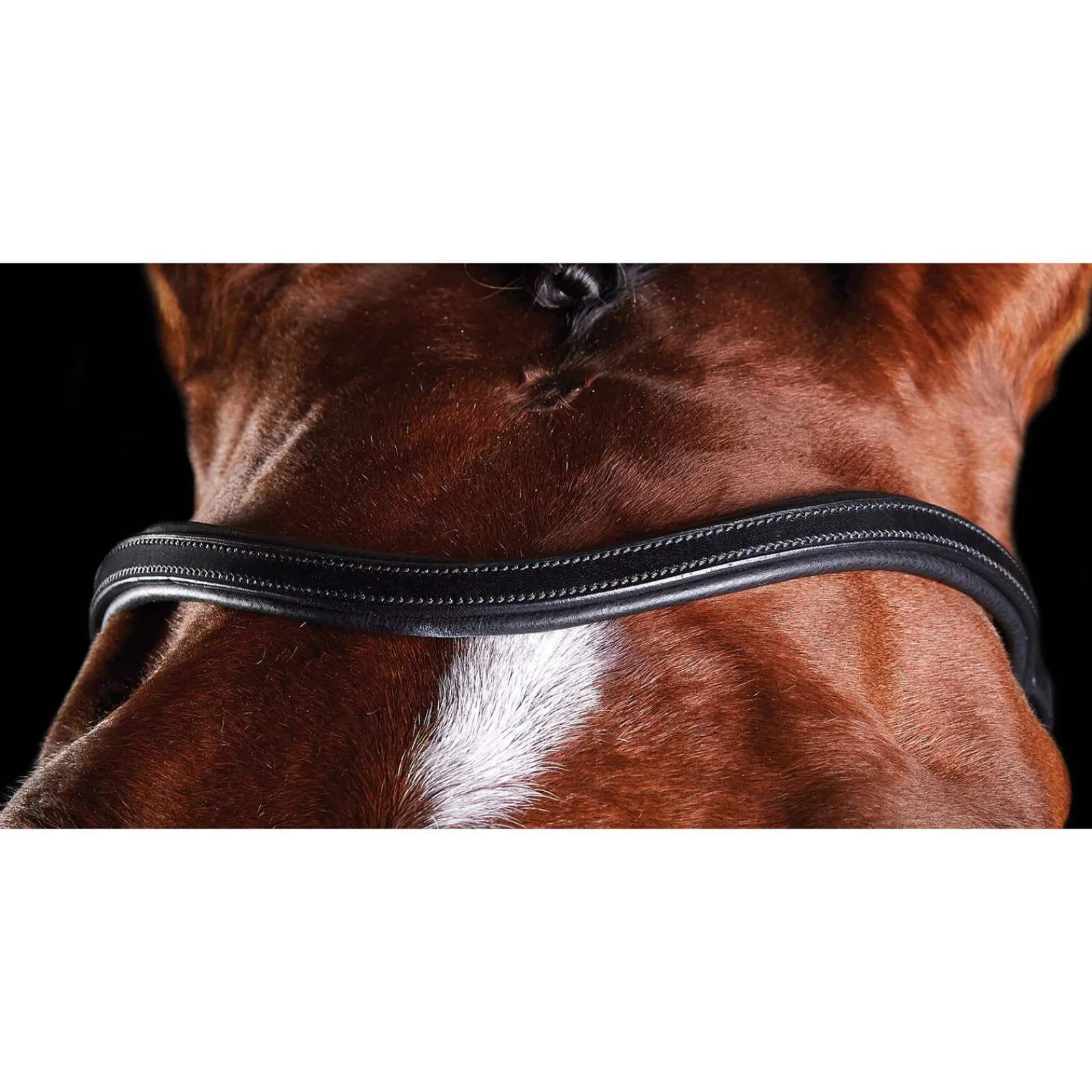 Best ComFiTec Training Bridle Pony Bridles & Halters|Bridles & Nosebands