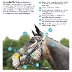 Best ComFiTec Training Bridle Pony Bridles & Halters|Bridles & Nosebands