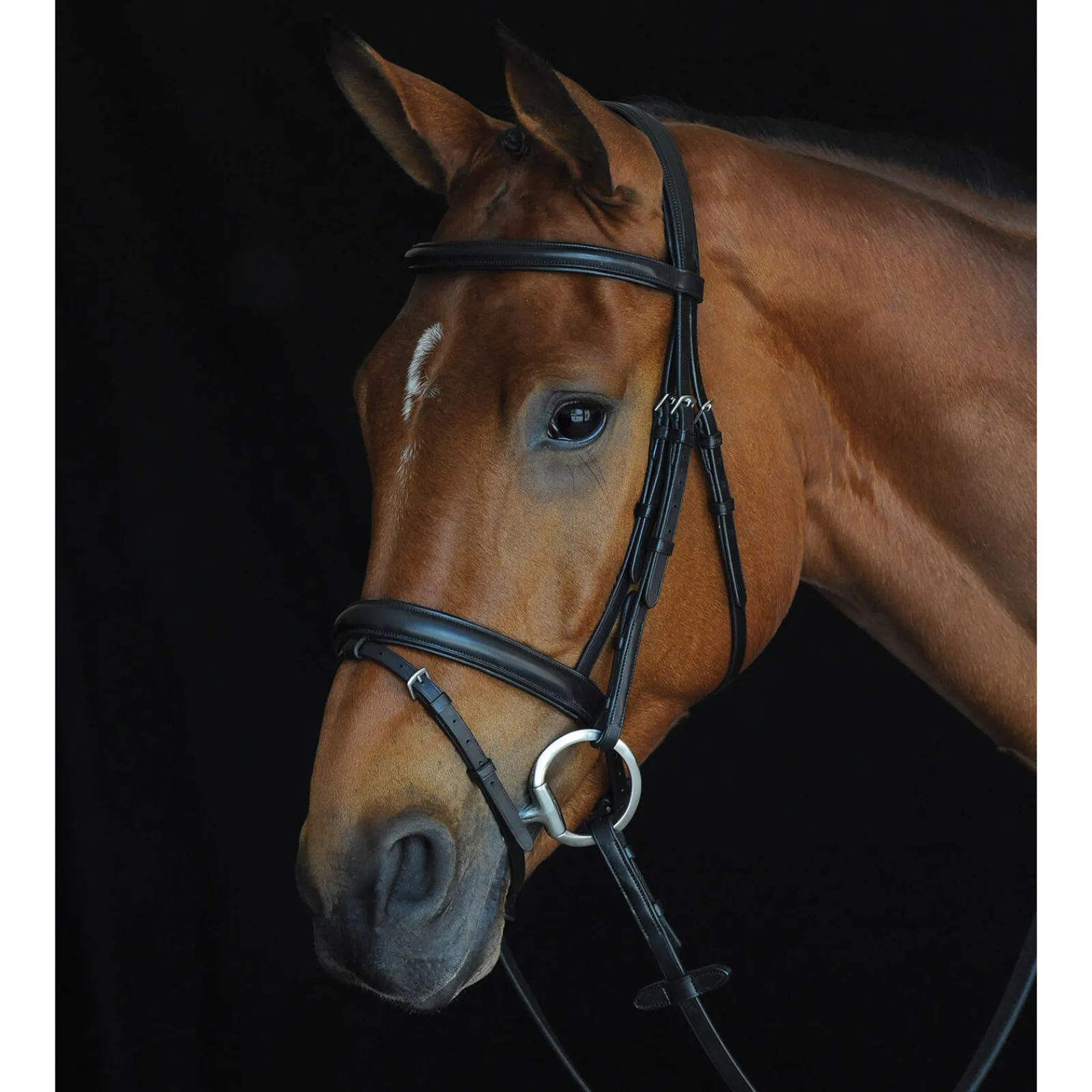Hot Comfort Crown Padded Raised Flash Bridle Pony Bridles & Halters|Bridles & Nosebands