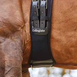 Discount Memory Foam Dressage Girth Girths
