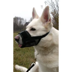 Online Muzzle, nylon Training Products For Dogs