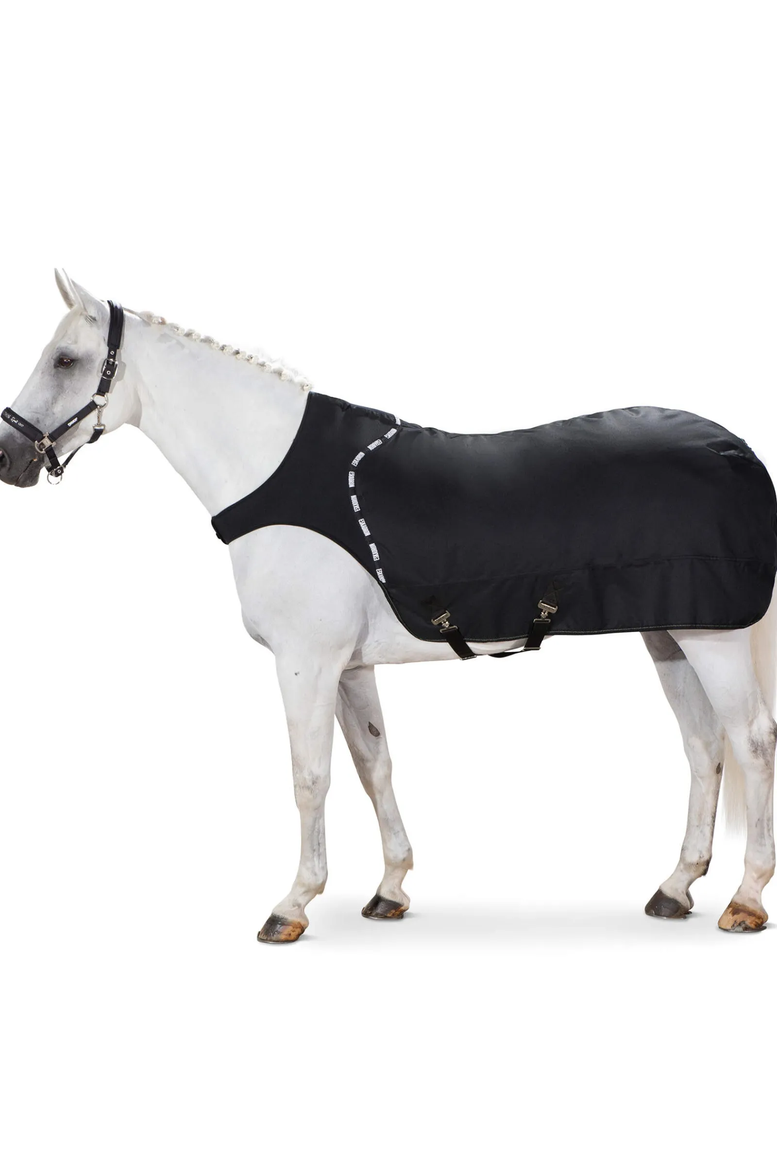 Online Delta Walker Rug with Fleece Lining Fleece Horse Rugs & Cooler Rugs