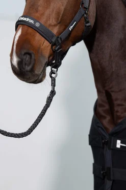 Sale Dynamic SS24 Double-Pin Headcollar Headcollars & Halters