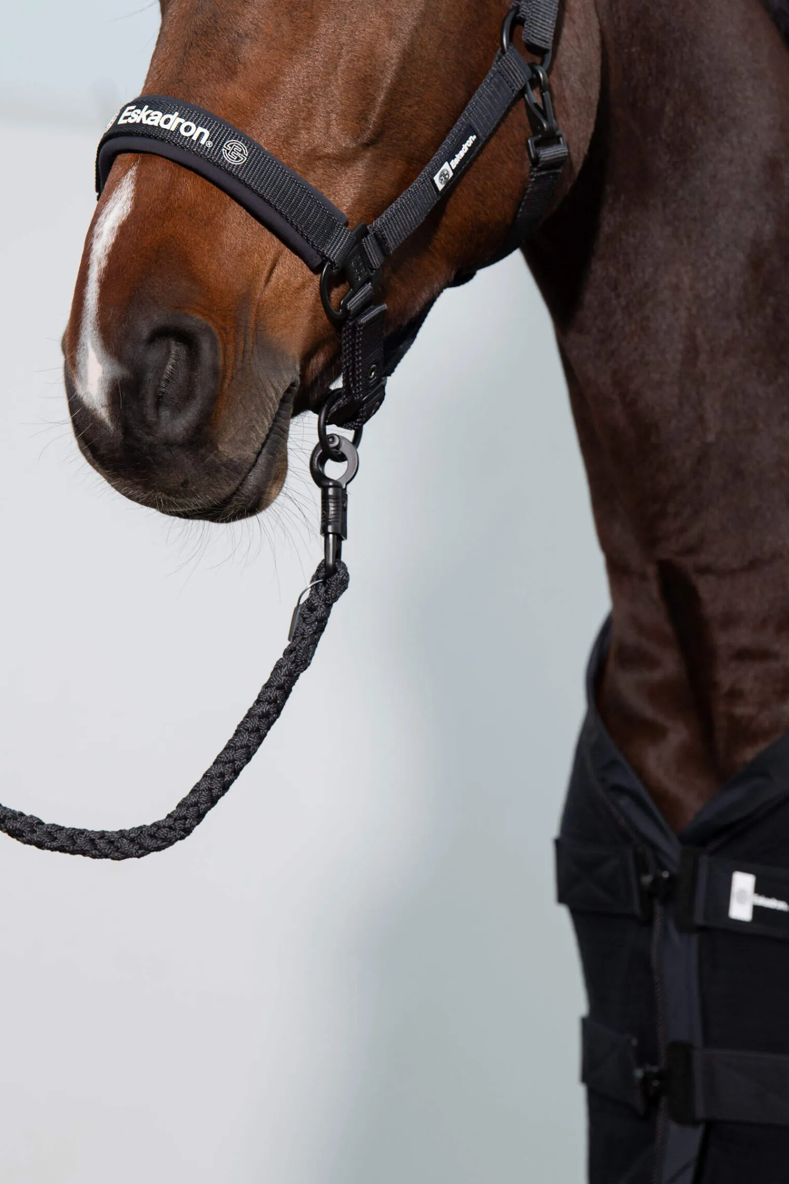Sale Dynamic SS24 Double-Pin Headcollar Headcollars & Halters