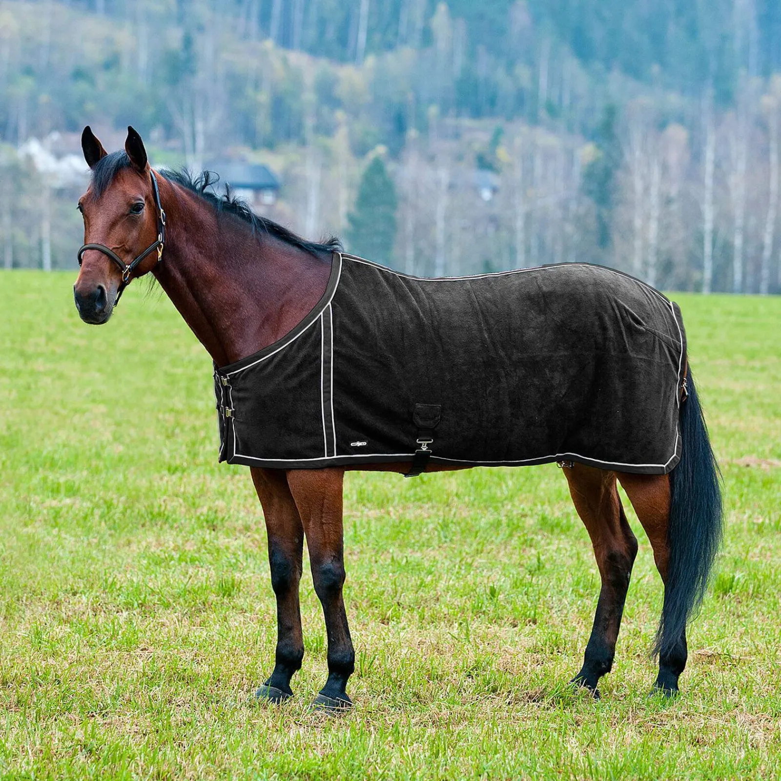 Sale Pro Fleece Blanket with Mesh Lining Fleece Horse Rugs & Cooler Rugs