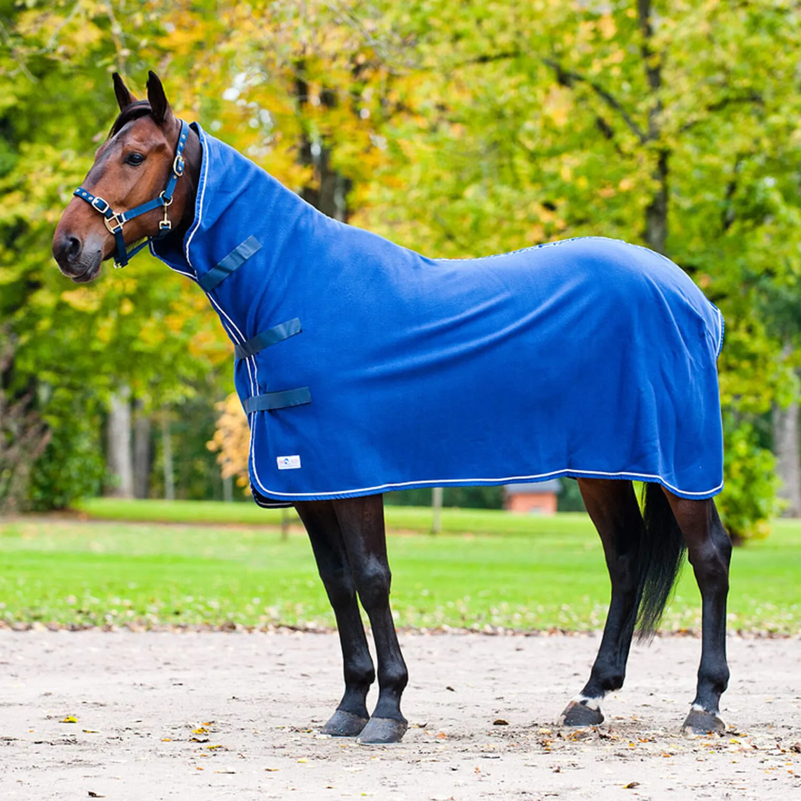 Discount Pro High Neck Cooler Rug Fleece Horse Rugs & Cooler Rugs
