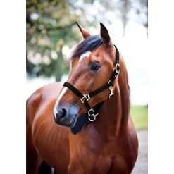 Hot Pro Nylon Padded Halter Headcollars & Halters