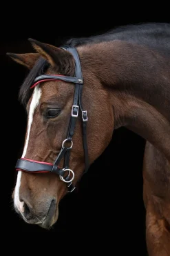 Discount F.R.A. Freedom Riding Articles Aruba Bitless Bridle With Reins (System 3) Bridles & Nosebands