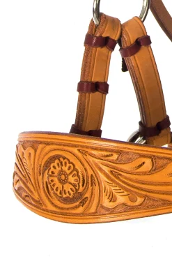 Online F.R.A. Freedom Riding Articles Diego Bitless Bridle Western|Bridles & Nosebands