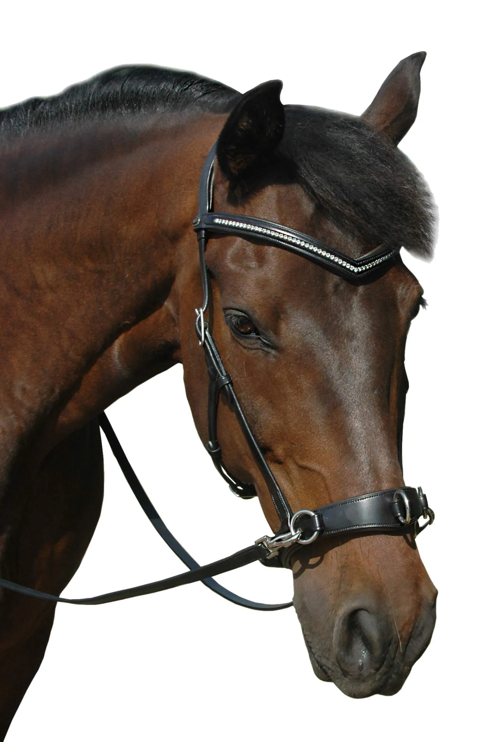 Online F.R.A. Freedom Riding Articles Wendy B Cavesson, Bitless Bridle, Leather Reins w/ Clip Auxiliary Reins & Lunging Aids|Auxiliary Reins & Lunging Aids
