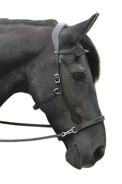 Fashion F.R.A. Freedom Riding Articles Dandy Sidepull With Reins (System 3) Bridles & Nosebands